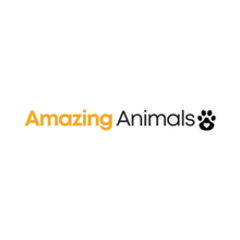 Amazinganimals